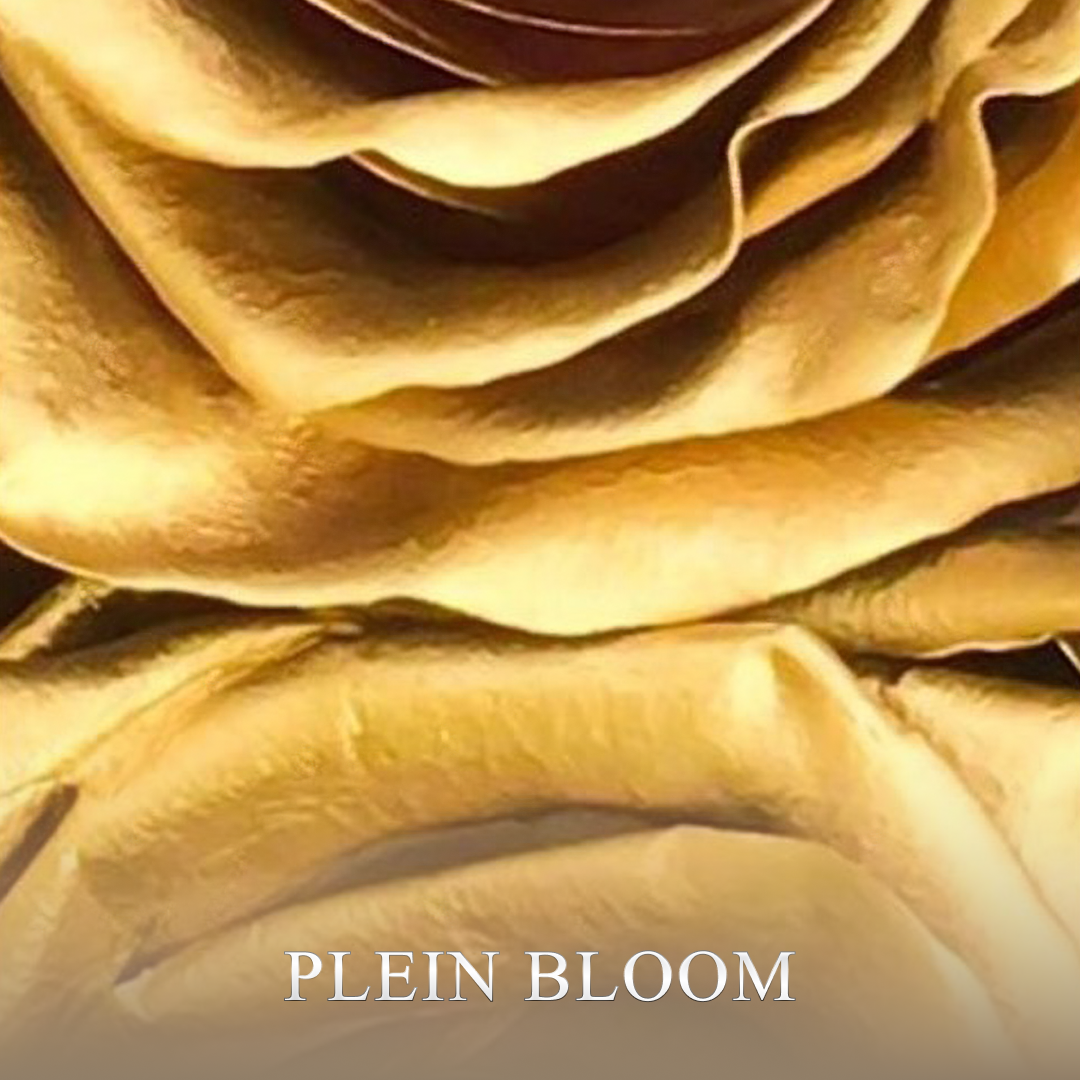 img-clients-case-item