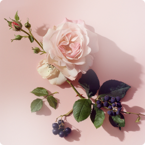 img-clients-case-item